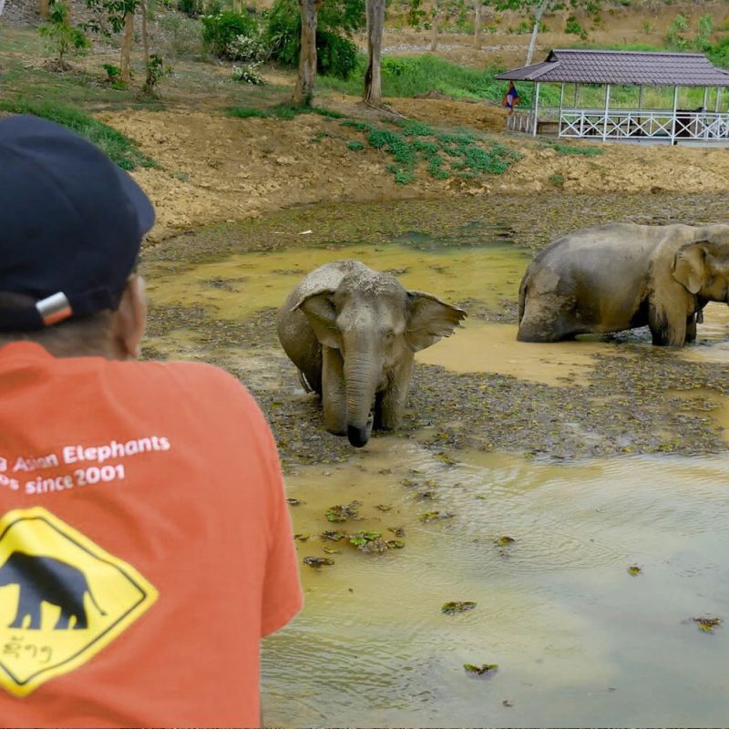 Conservation Volunteering