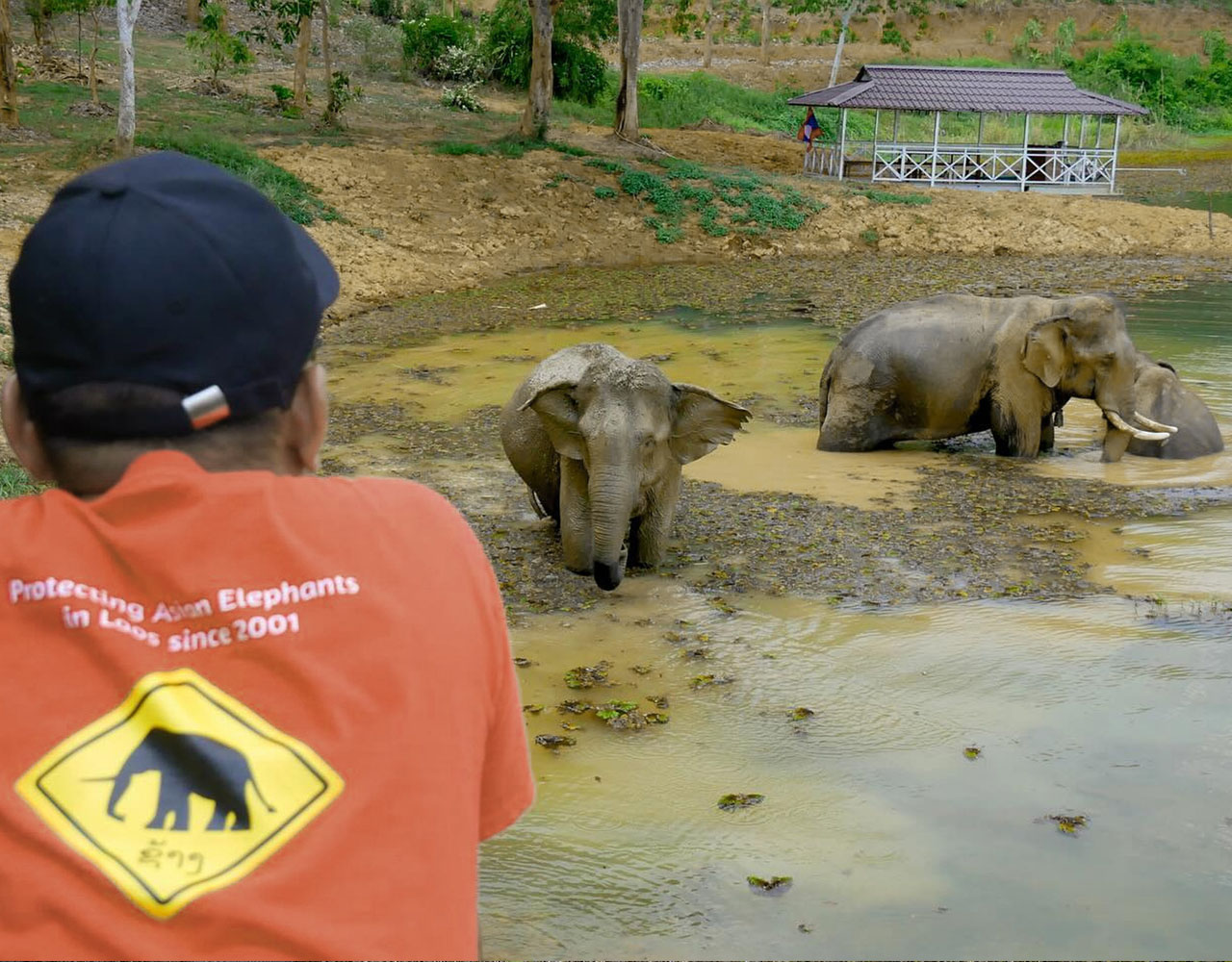 Conservation Volunteering