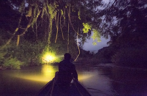 Signature Nam Nern River Safari