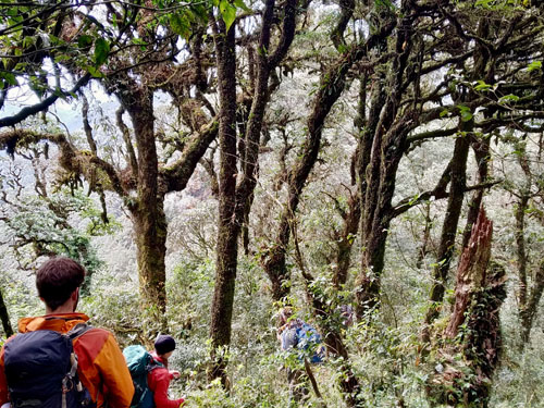 TREK_Laos_NamEtPhouLouey_CloudForestTrek_Credit JaninaBikova_fab